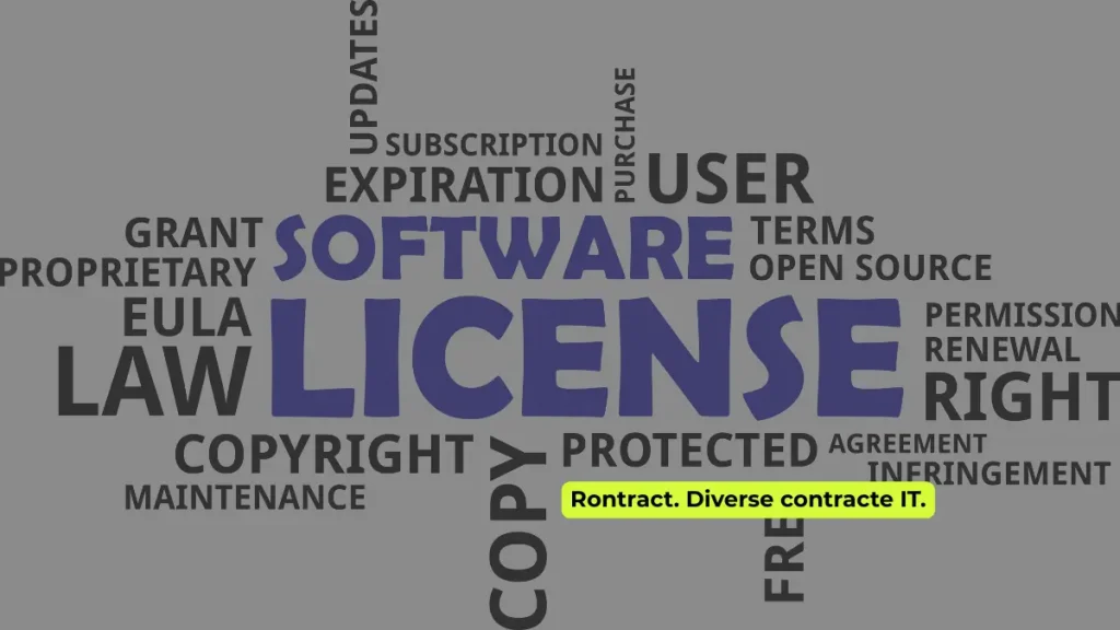 tipuri contracte IT ilustrate