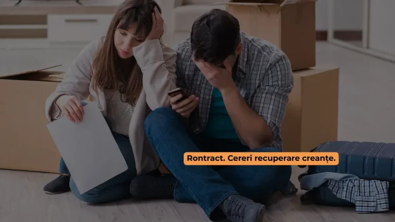 cerere de executare silită