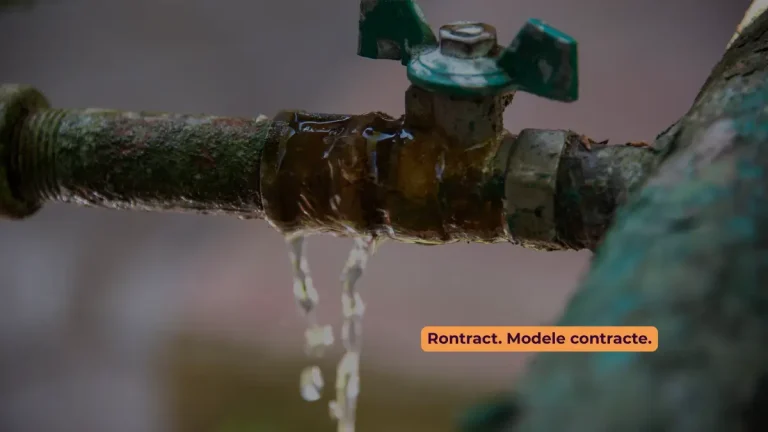 exemplu inundație în apartament închiriat